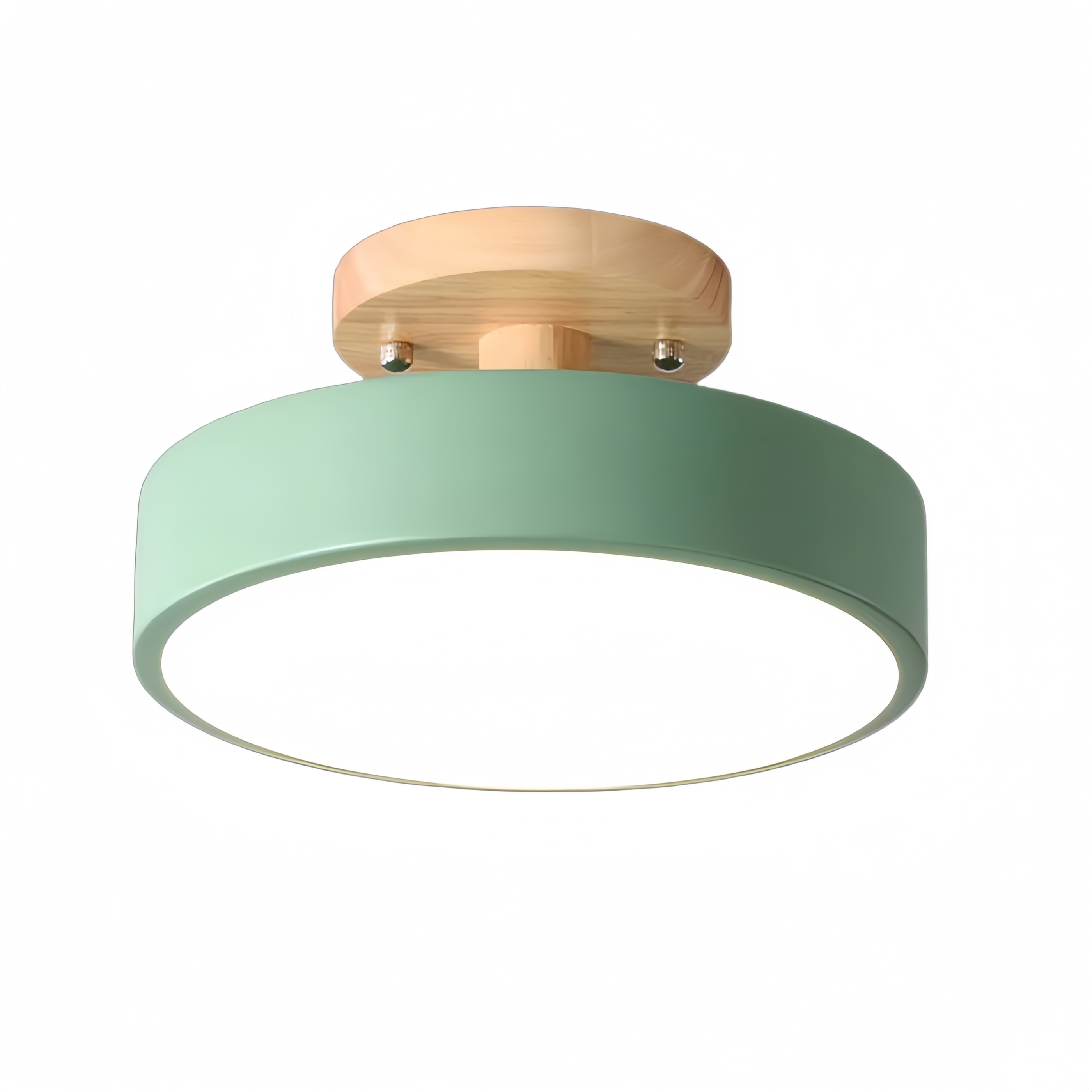 Groene uitvoering van de plafondlamp